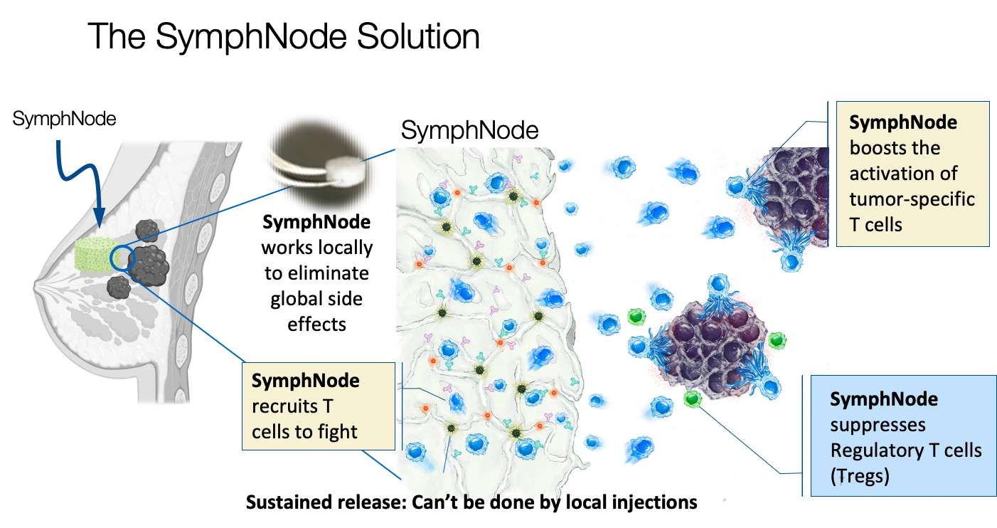 Diagram: SymphNode, a small porous implant shown next to a photo of the device, is placed beside a breast tumor. A magnified view shows the scaffold recruiting T cells to fight, boosting activation of tumor-specific T cells that attack tumor cells, and suppressing regulatory T cells. It works locally to limit systemic side effects, through sustained release that local injections can’t provide.